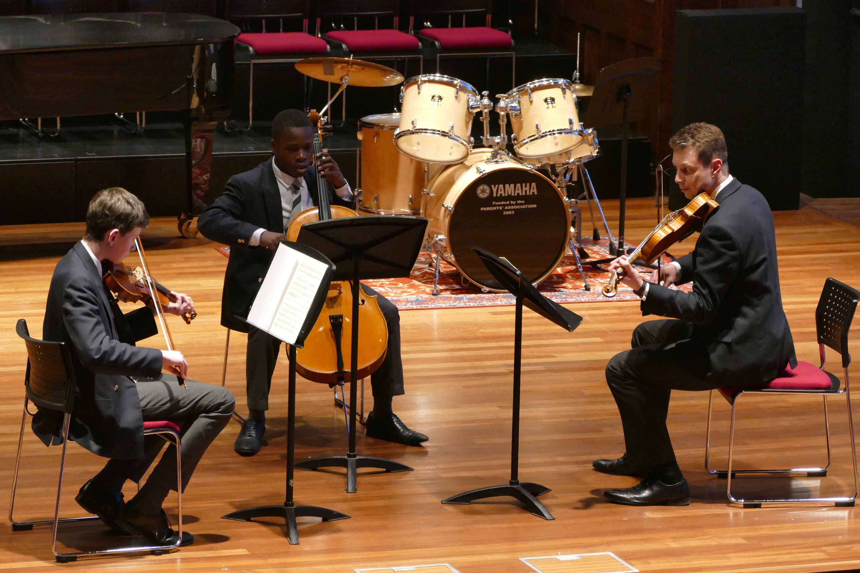 String Chamber Workshop and Concert - 2nd February 2018